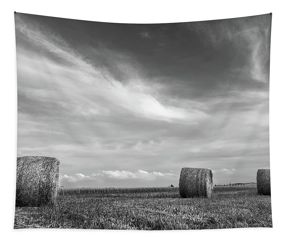 Agriculture Tapestry featuring the photograph Field of Round bales of hay after harvesting by Michalakis Ppalis