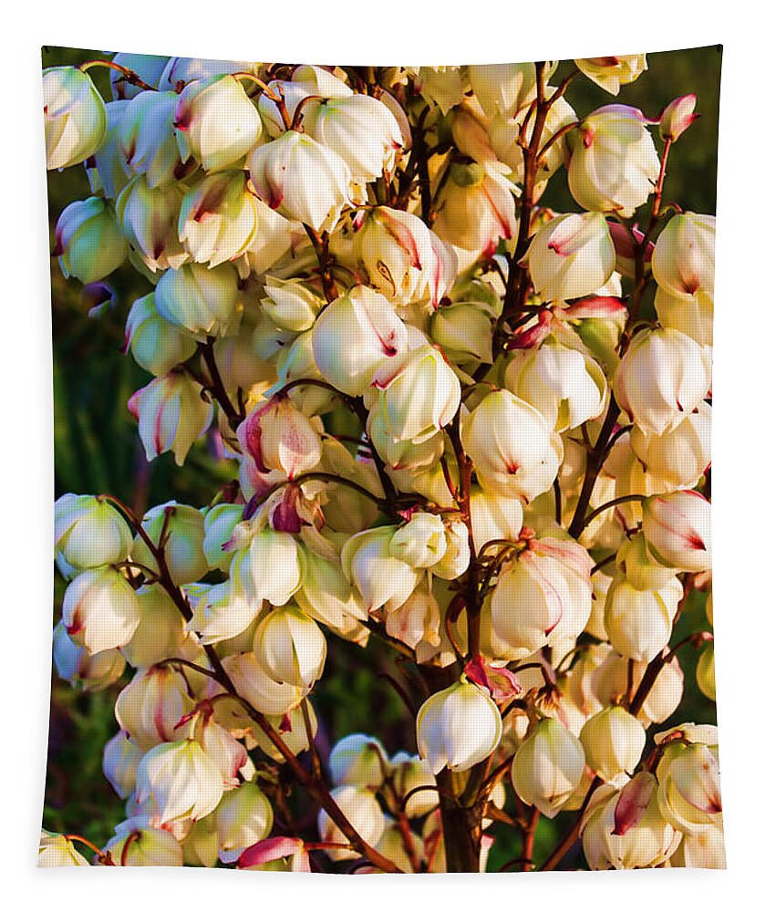 Plant Tapestry featuring the photograph Filled with Joy Floral Bunch by Roberta Byram