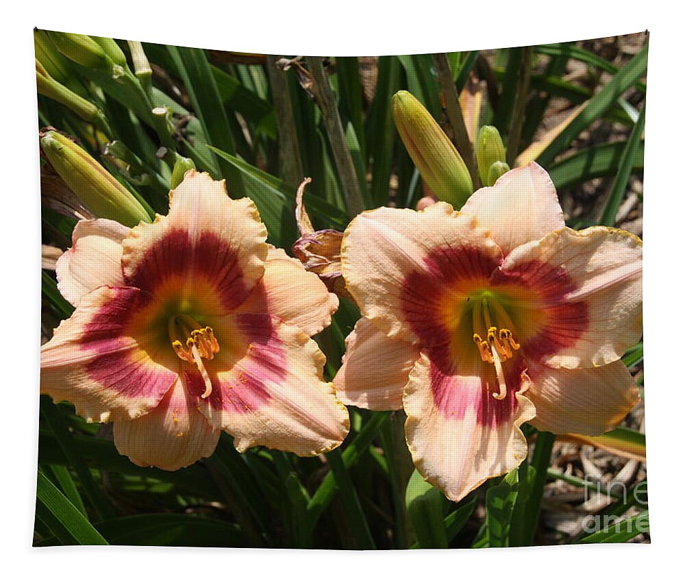 Flowers Tapestry featuring the photograph Fire Lilies by Wendy Coulson