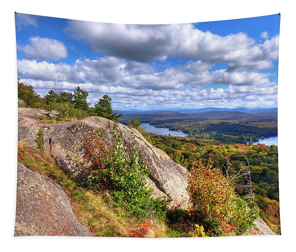 Landscapes Tapestry featuring the photograph Fire Tower on Bald Mountain by David Patterson