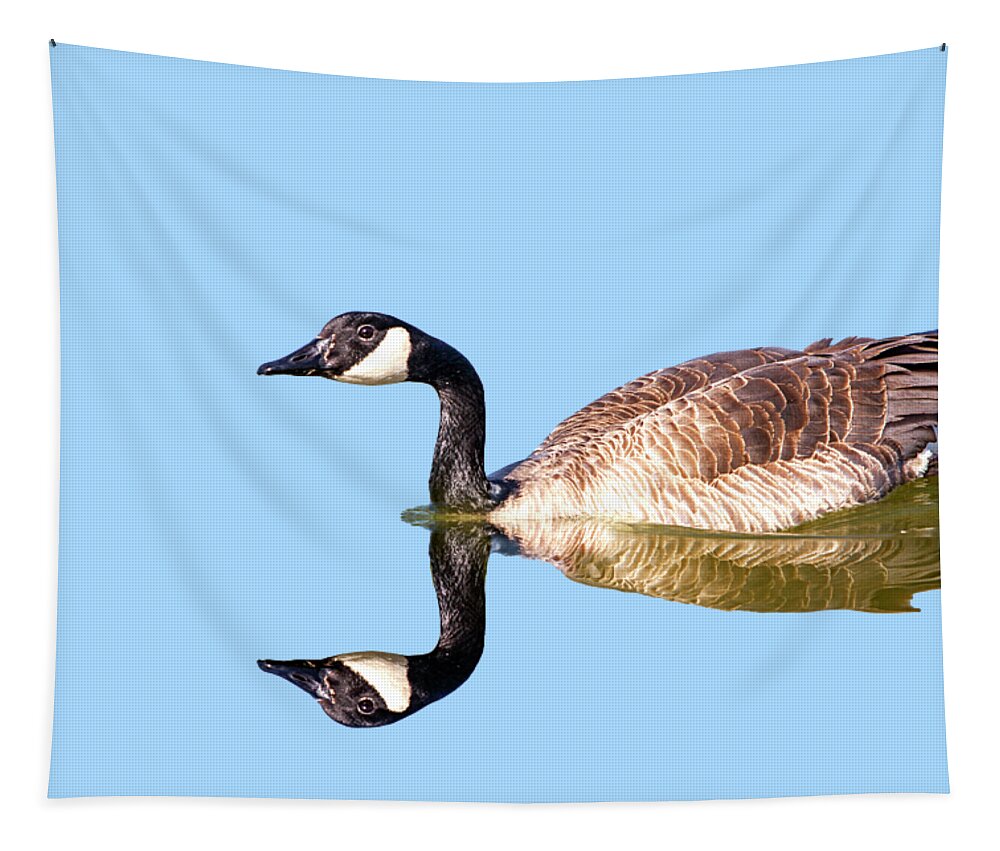 Fireman's Pond Tapestry featuring the photograph Fireman's Pond Goose by David Millenheft