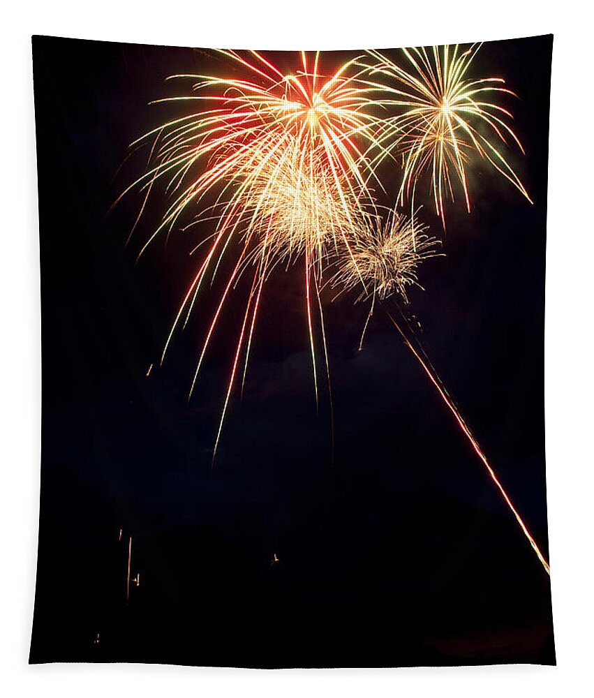 Fireworks Tapestry featuring the photograph Fireworks 49 by James BO Insogna