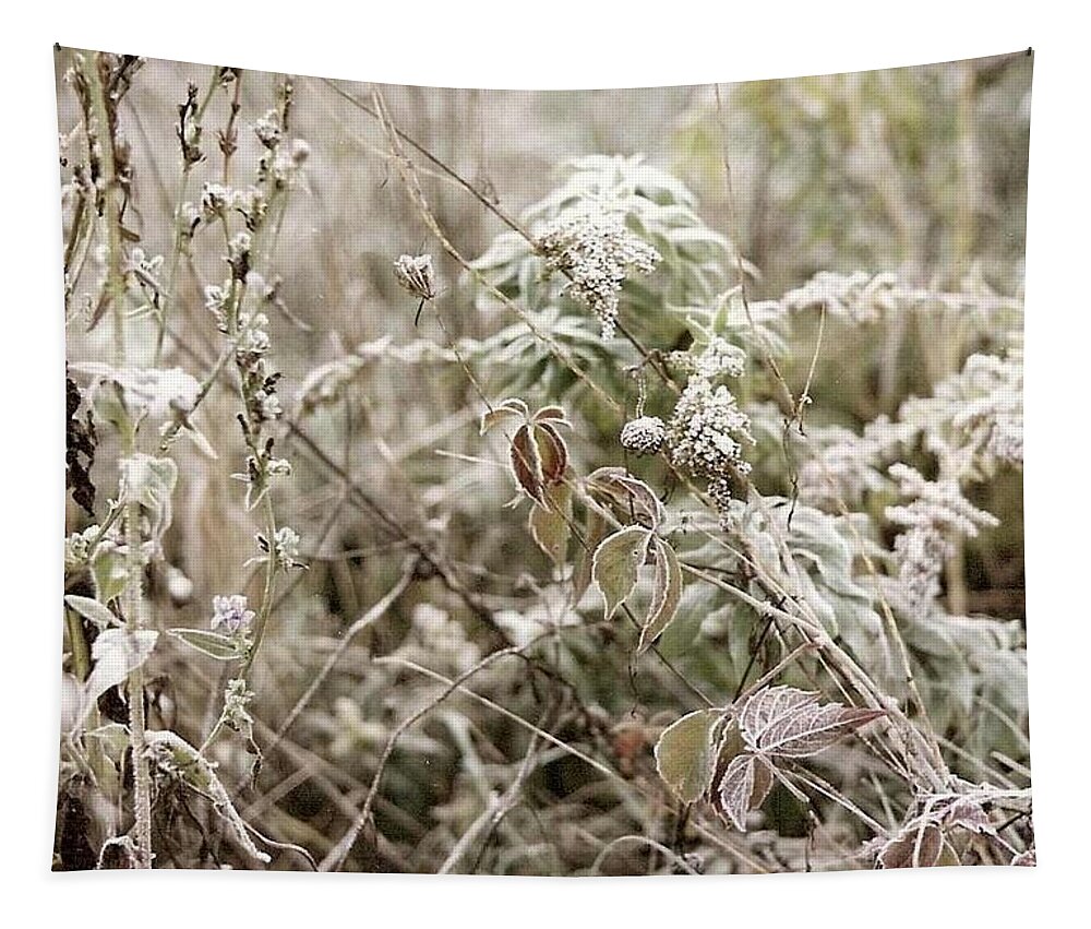 Winter Tapestry featuring the photograph First Frost by Mary Wolf