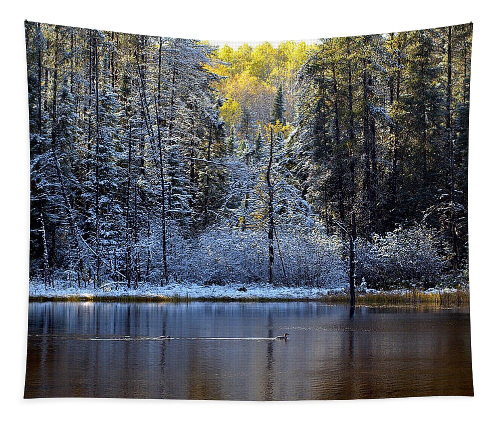 Canada Tapestry featuring the photograph First Snow by Doug Gibbons
