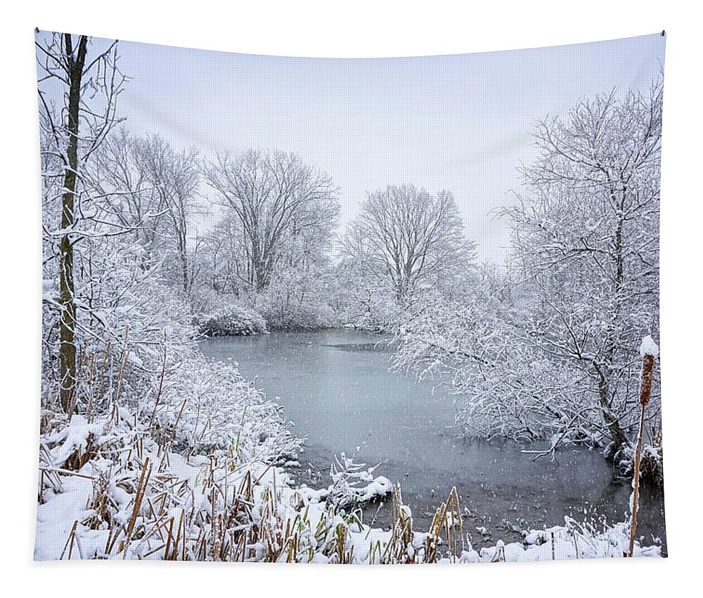 Michigan Tapestry featuring the photograph First Snow by Kathi Mirto