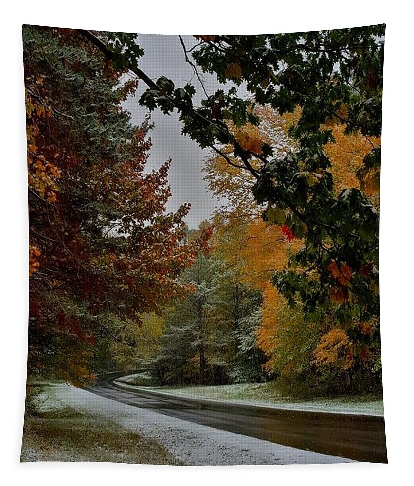Seasons Tapestry featuring the photograph First Snowfall by Dani McEvoy