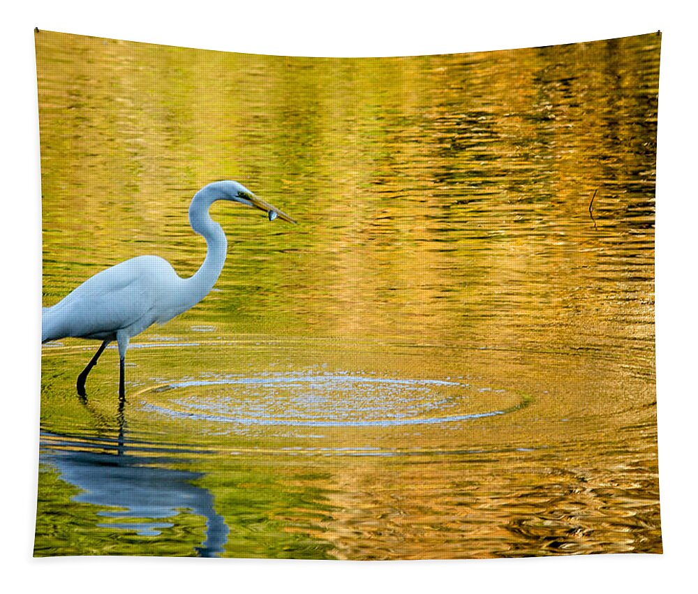 Sunset Tapestry featuring the photograph Fishing 2 by Wade Brooks