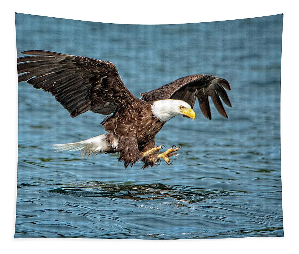 Bald Eagle Tapestry featuring the photograph Fishing by Jeanette Mahoney