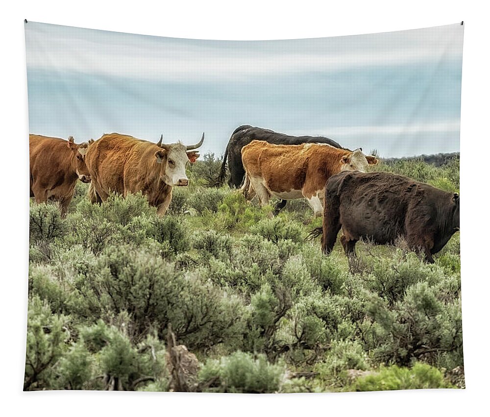 Cows Tapestry featuring the photograph Five Cows Coming Down a Hill by Belinda Greb
