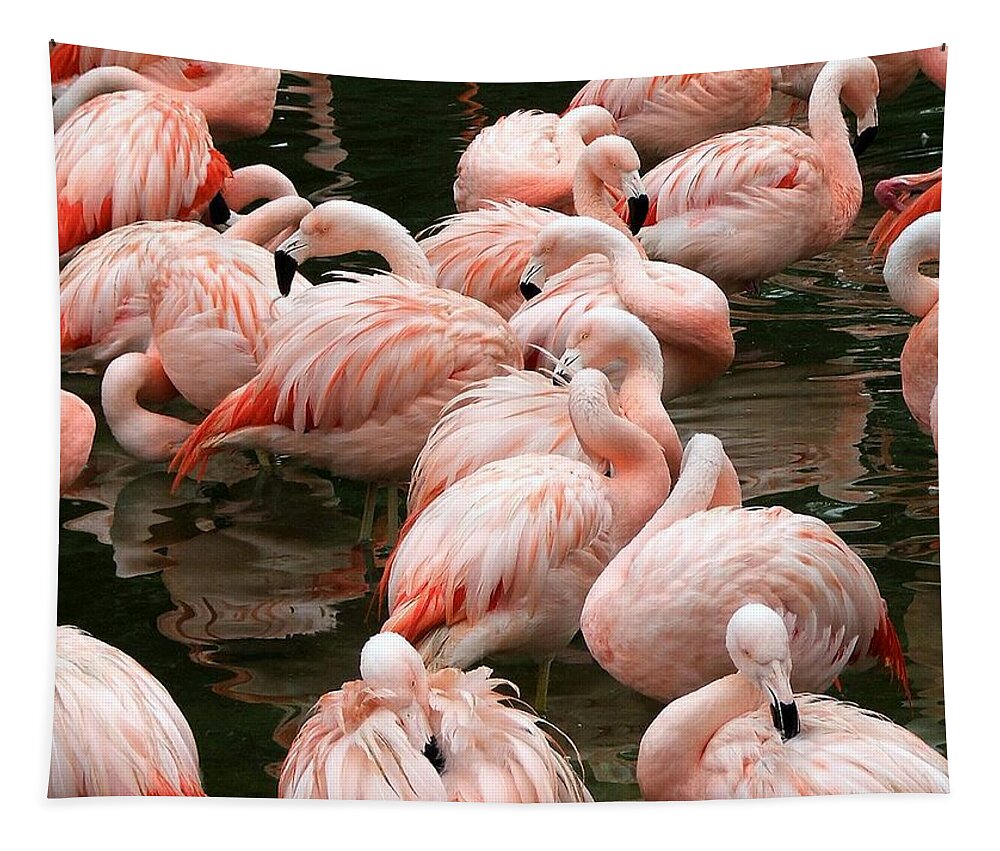 Pink Flamingo's Tapestry featuring the photograph Flaminigo's by Robert Meanor