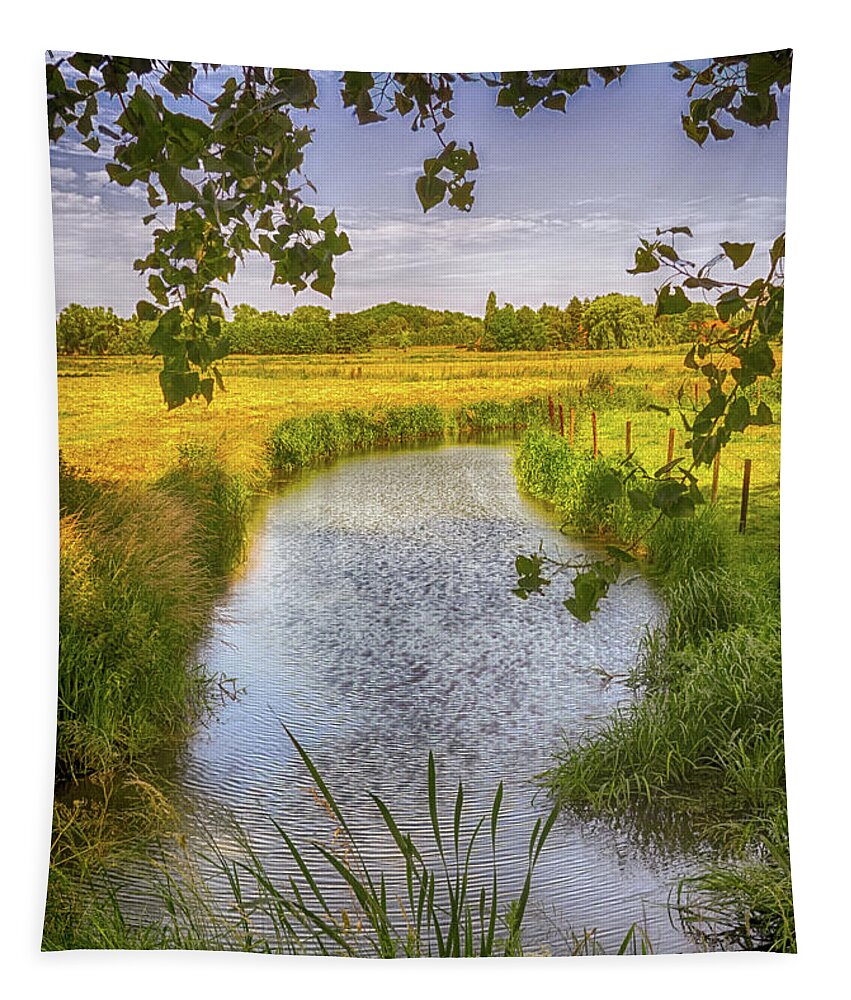 Creek Tapestry featuring the photograph Flemish Creek by Wim Lanclus