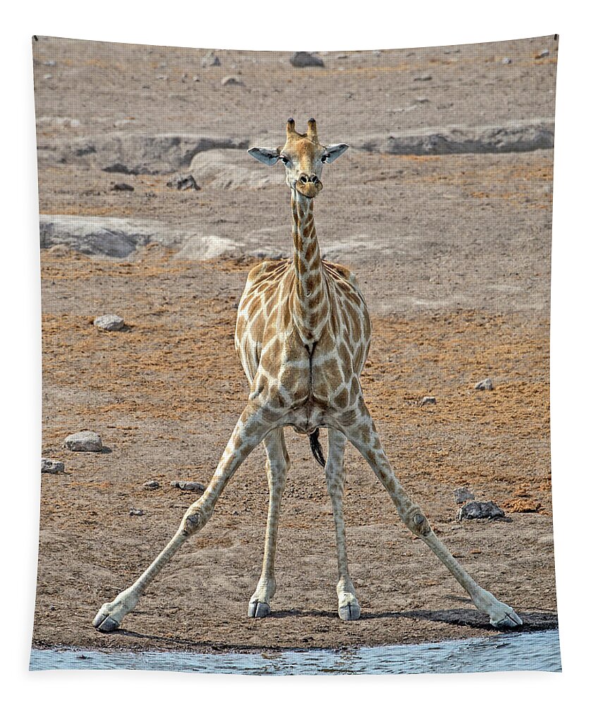 Giraffa Camelopardalis Angolensis Tapestry featuring the photograph Flexible by Tony Beck