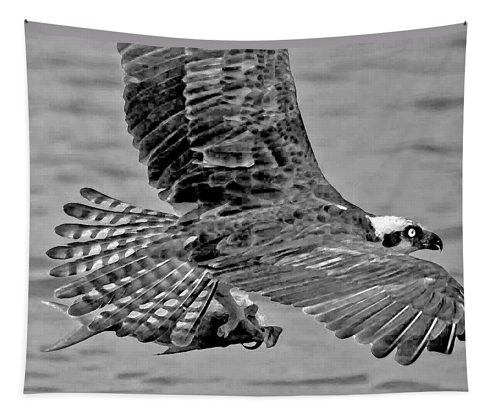 Pelican Tapestry featuring the photograph Flight of the Osprey BW by Michael Thomas