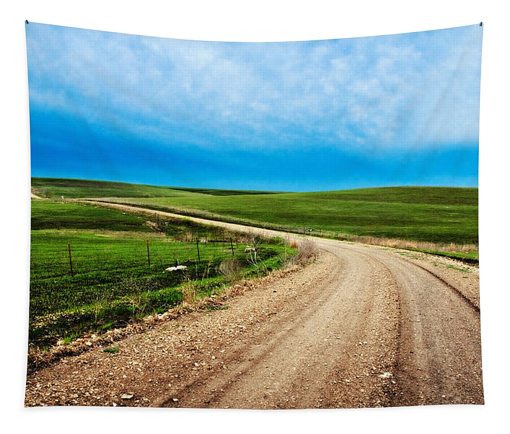 Spring Tapestry featuring the photograph Flint Hills Spring Gravel by Eric Benjamin