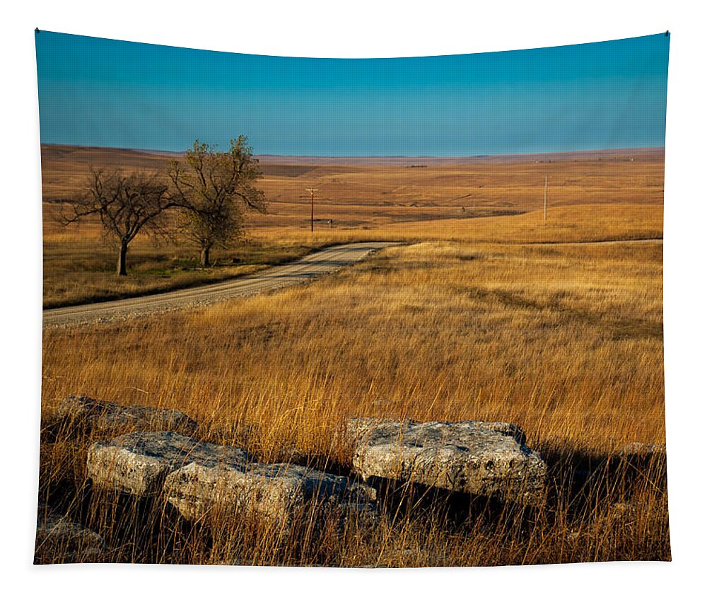 Prairie Tapestry featuring the photograph Flint Hills Two Trees by Jeff Phillippi