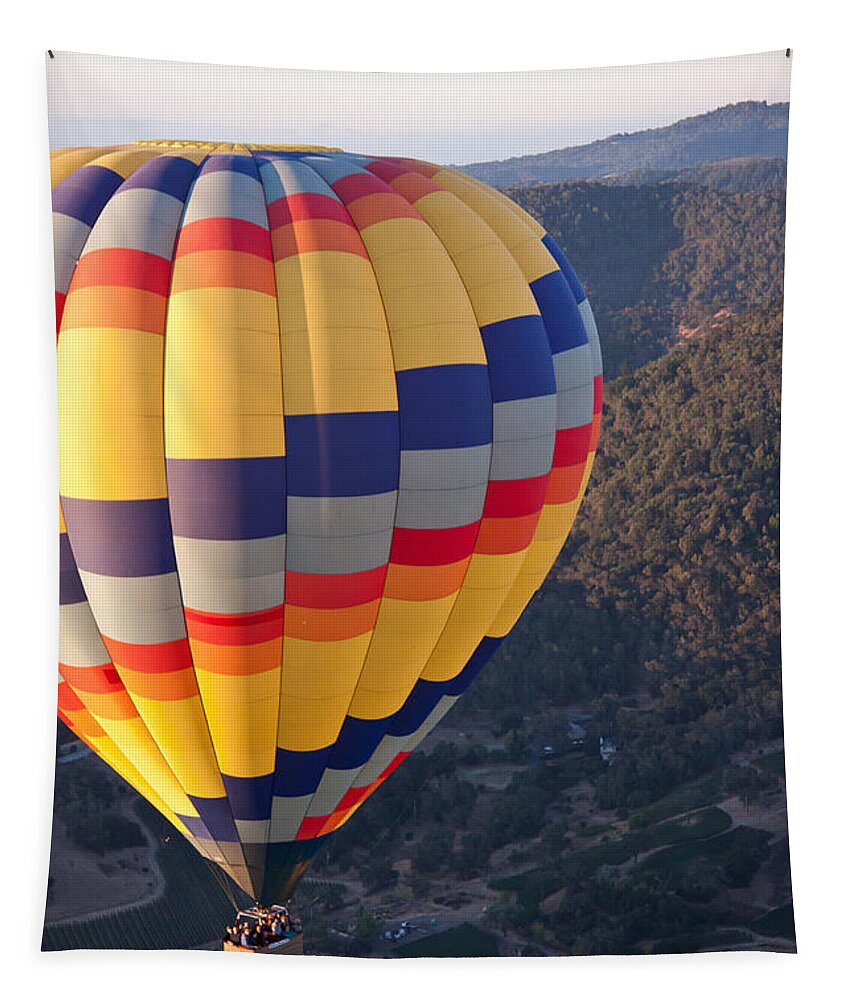 Hot Air Balloon Tapestry featuring the photograph Floating Balloon by Ana V Ramirez