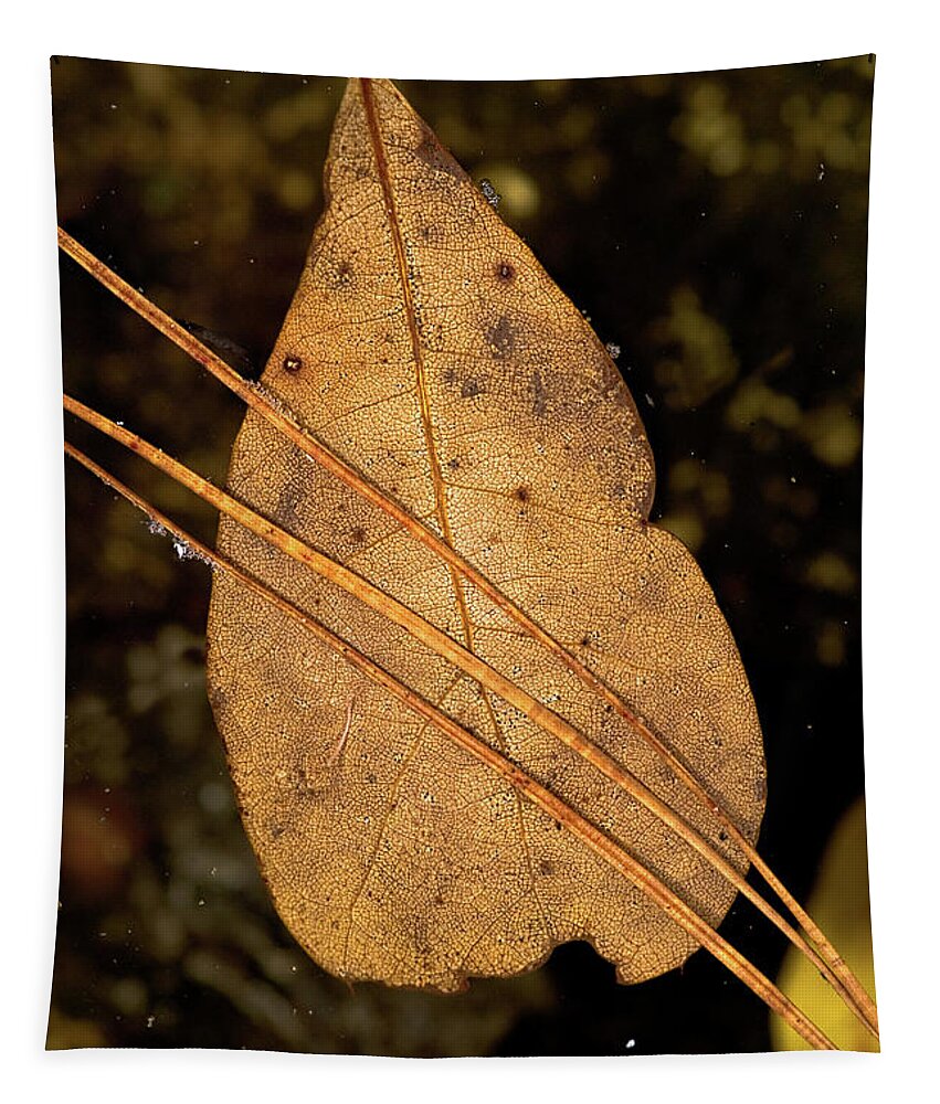 Leaf Tapestry featuring the photograph Floating by Christopher Holmes