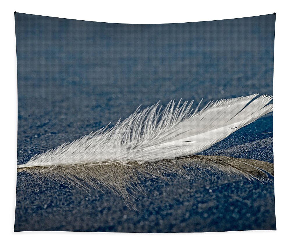 Feather Tapestry featuring the photograph Floating Feather Reflection by Robert Potts