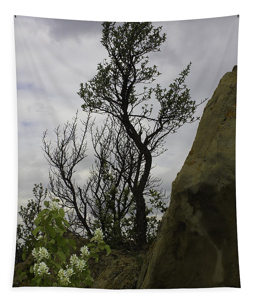 New Florals Tapestry featuring the photograph Flora and Tree by Donna L Munro
