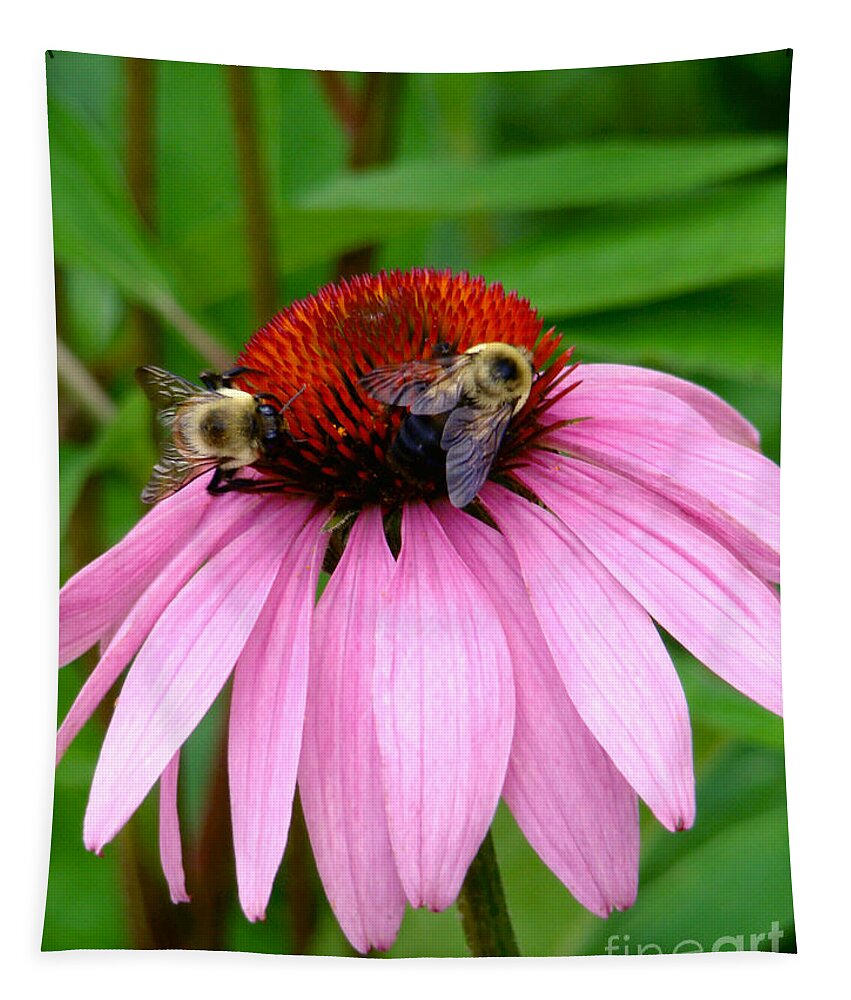 Coneflower Tapestry featuring the photograph Floral Go Round by Sue Melvin