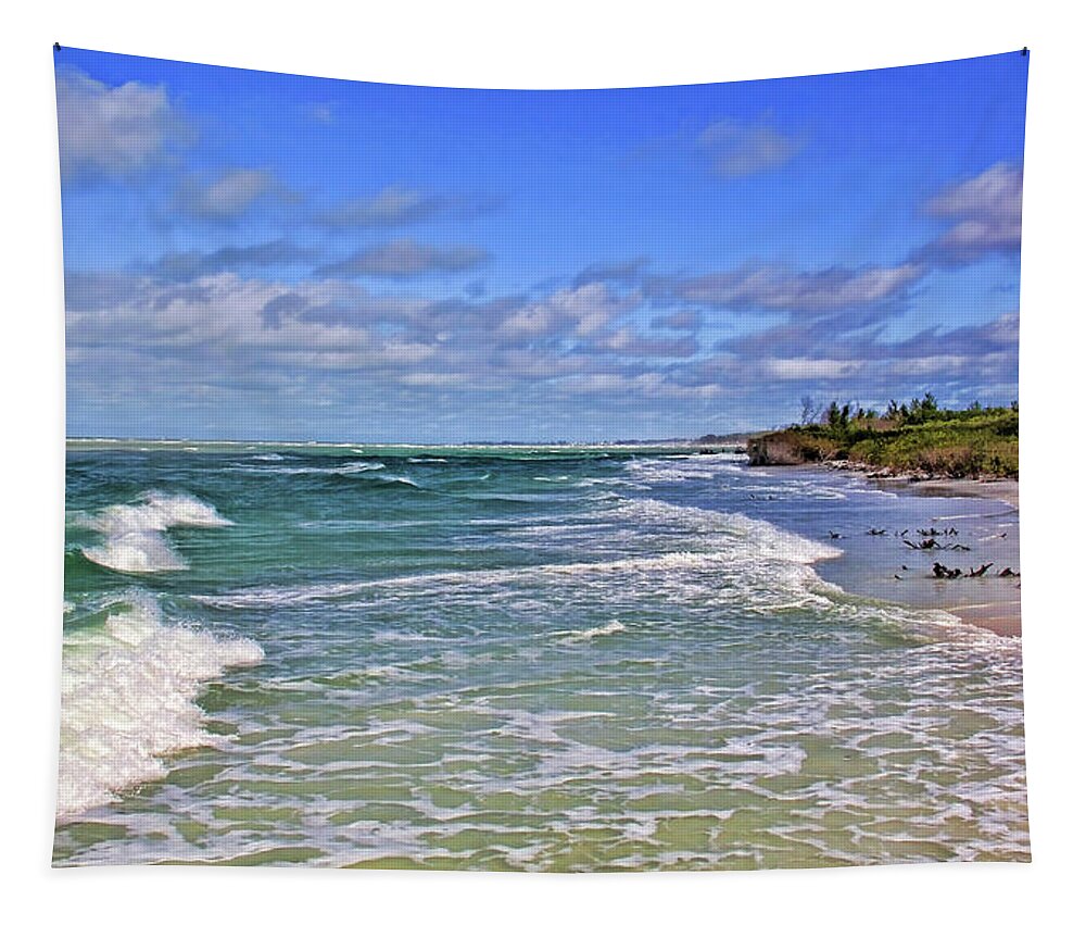 Florida Beaches Tapestry featuring the photograph Florida Gulf Coast Beaches by HH Photography of Florida