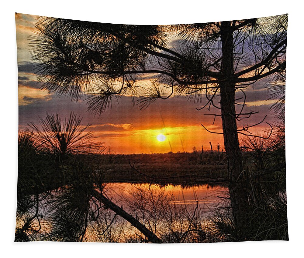 Tropical Sunset Tapestry featuring the photograph Florida Pine Sunset by HH Photography of Florida
