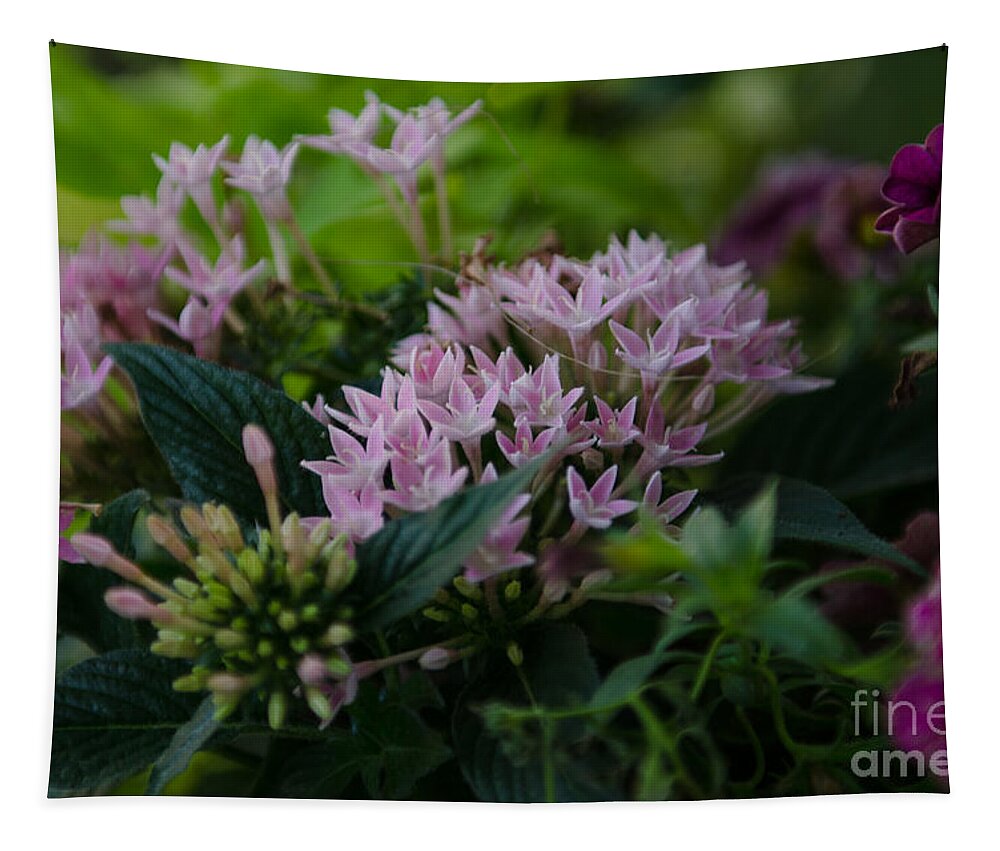 Flowers Tapestry featuring the photograph Flower Basket by Dale Powell