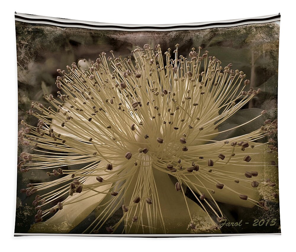 Flower Tapestry featuring the photograph Adventure in Grey by Farol Tomson