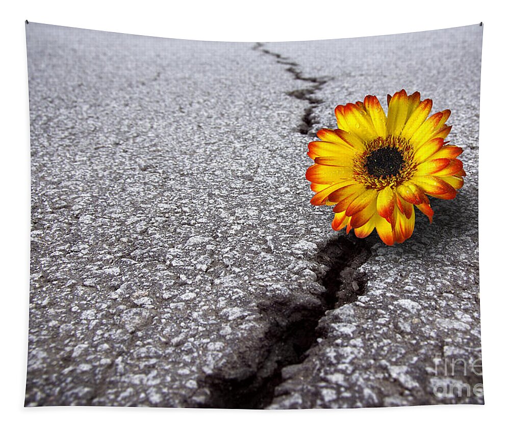 Abstract Tapestry featuring the photograph Flower in asphalt by Carlos Caetano