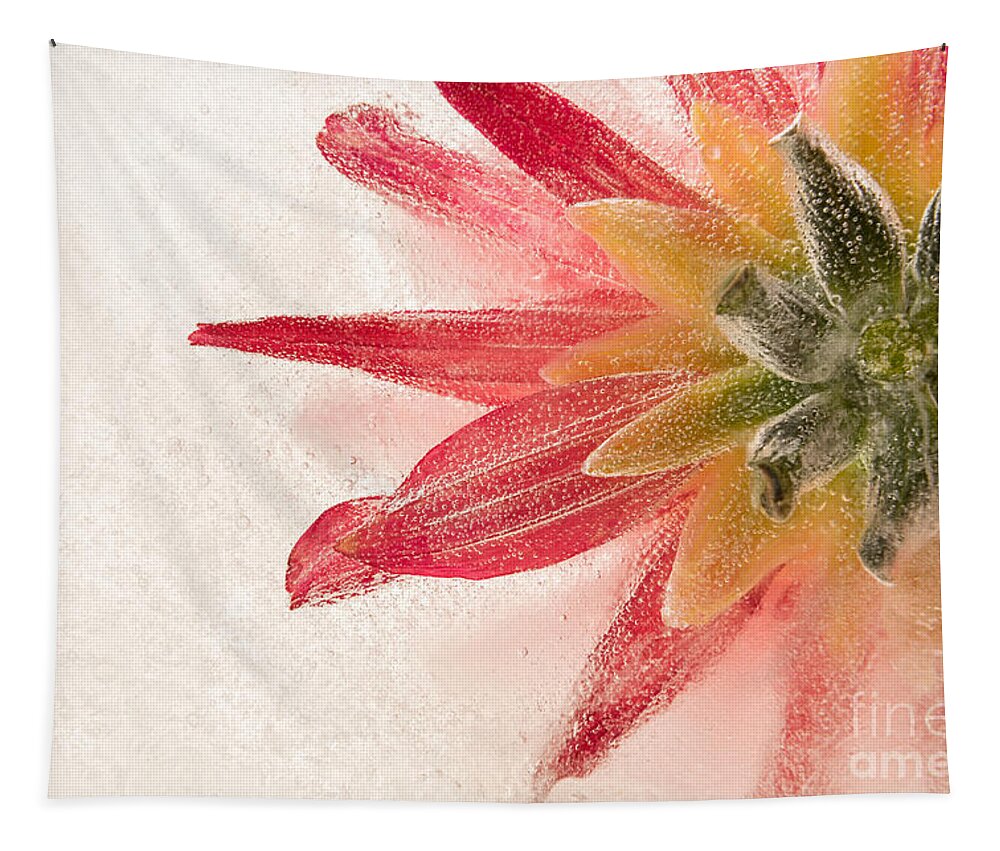 Flower In Ice Tapestry featuring the photograph Flower in Ice by Ann Garrett