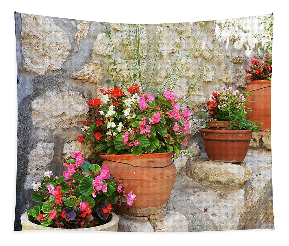 Flowers Tapestry featuring the photograph Flower Pots in Les Baux by Carla Parris