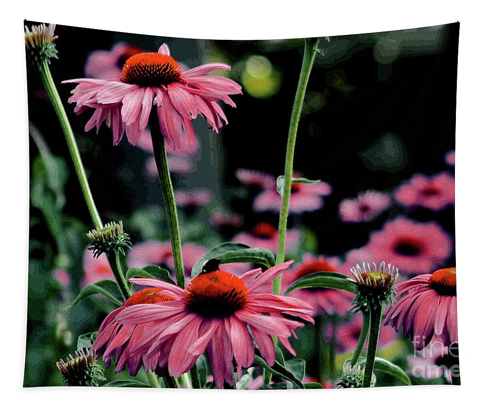 Floral Photograph Tapestry featuring the photograph Flower Power by Tom Prendergast