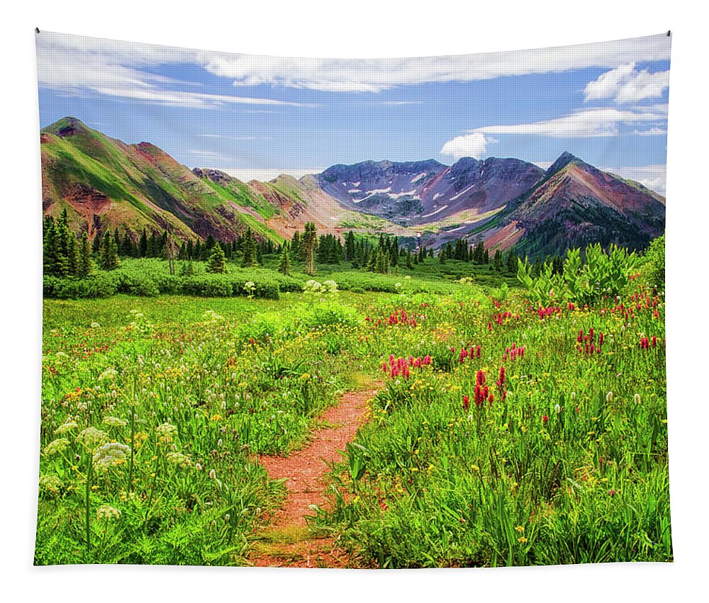 Wildflowers Tapestry featuring the photograph Flower Walk by Priscilla Burgers