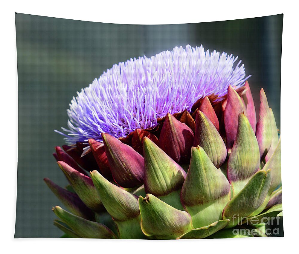 Flowers Tapestry featuring the photograph Flowering Artichoke by Cindy Manero