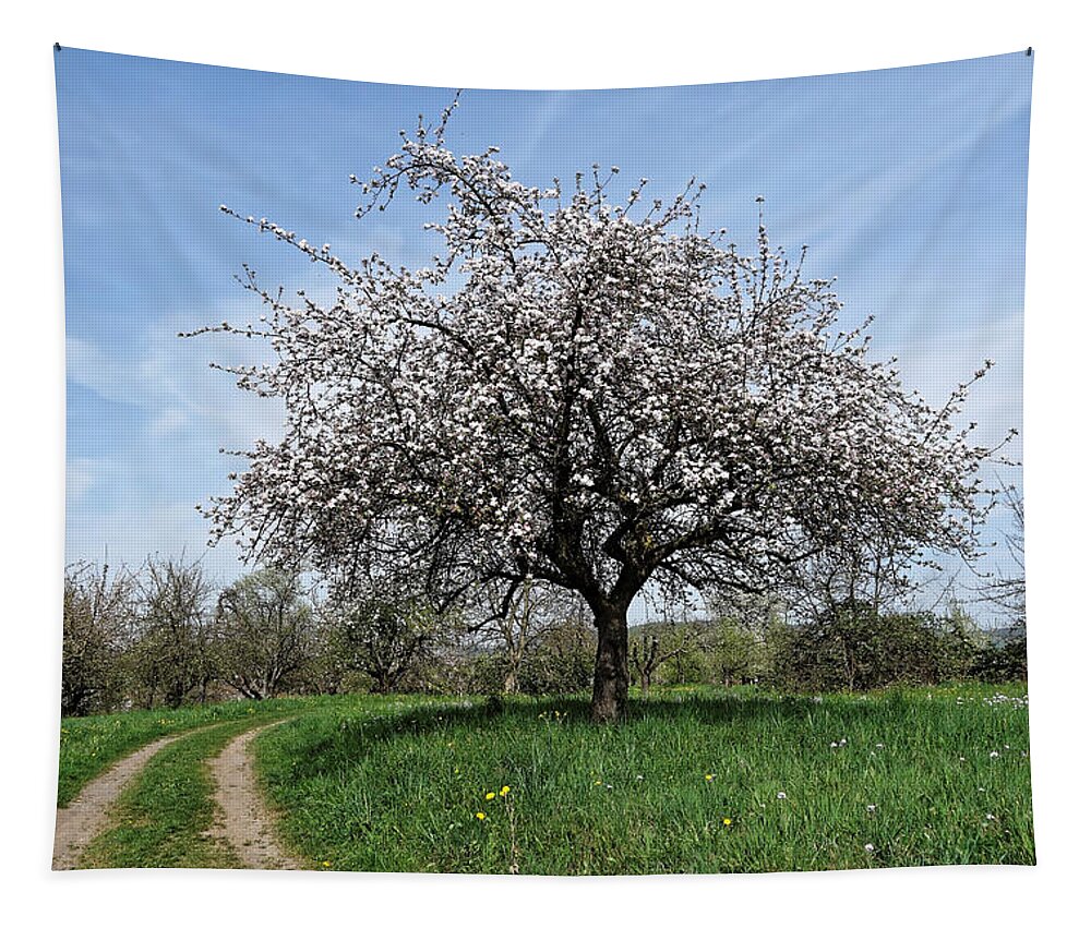 Tree Tapestry featuring the photograph Flowering Tree by Hartmut Knisel