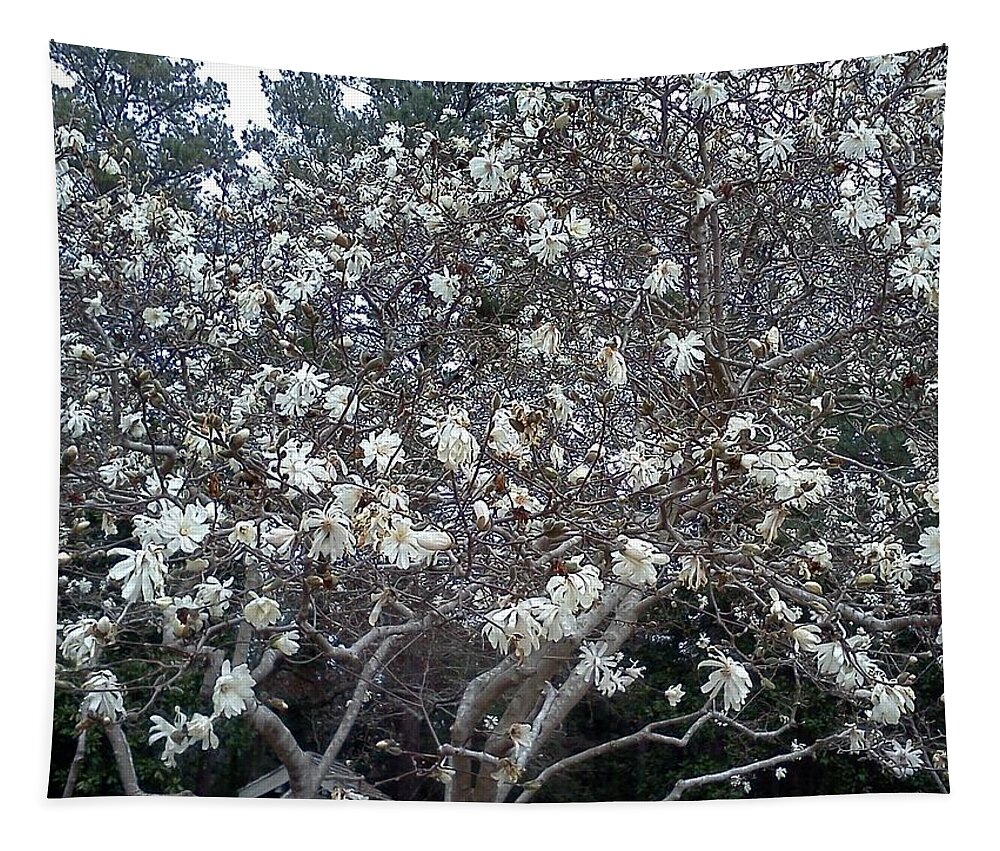 Floral Tapestry featuring the photograph Flowering Tree by Pamela Henry