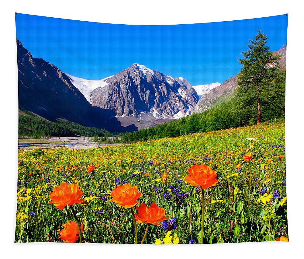 Russian Artists New Wave Tapestry featuring the photograph Flowering Valley. Mountain Karatash by Victor Kovchin