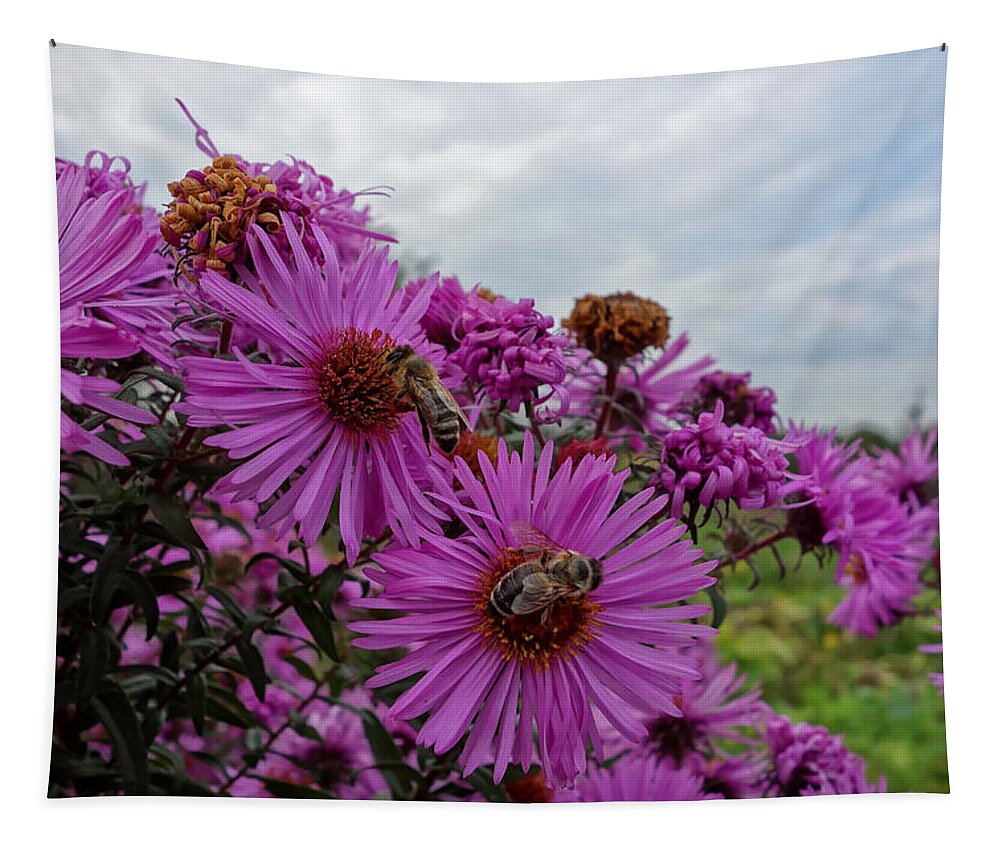 Flowers Tapestry featuring the photograph Flowers and Bees by Hartmut Knisel