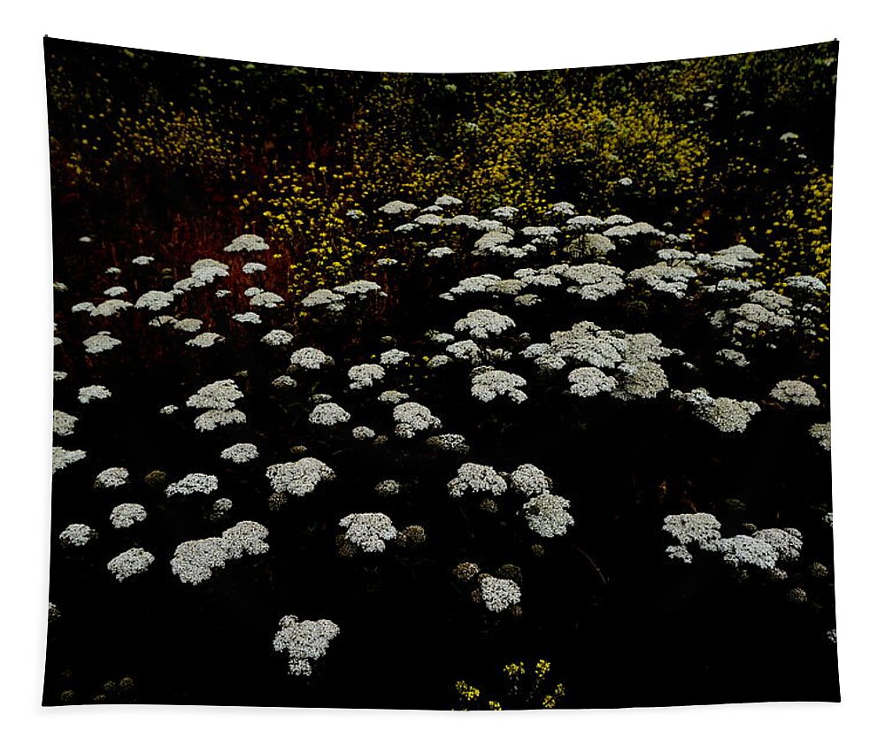 White Flowers Like Clouds Tapestry featuring the photograph Flowers like Clouds by Yuri Tomashevi