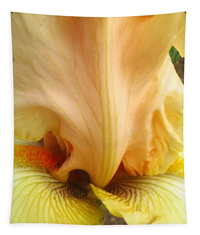 Yellow Tapestry featuring the photograph Flowerscape Yellow Iris One by Laura Davis