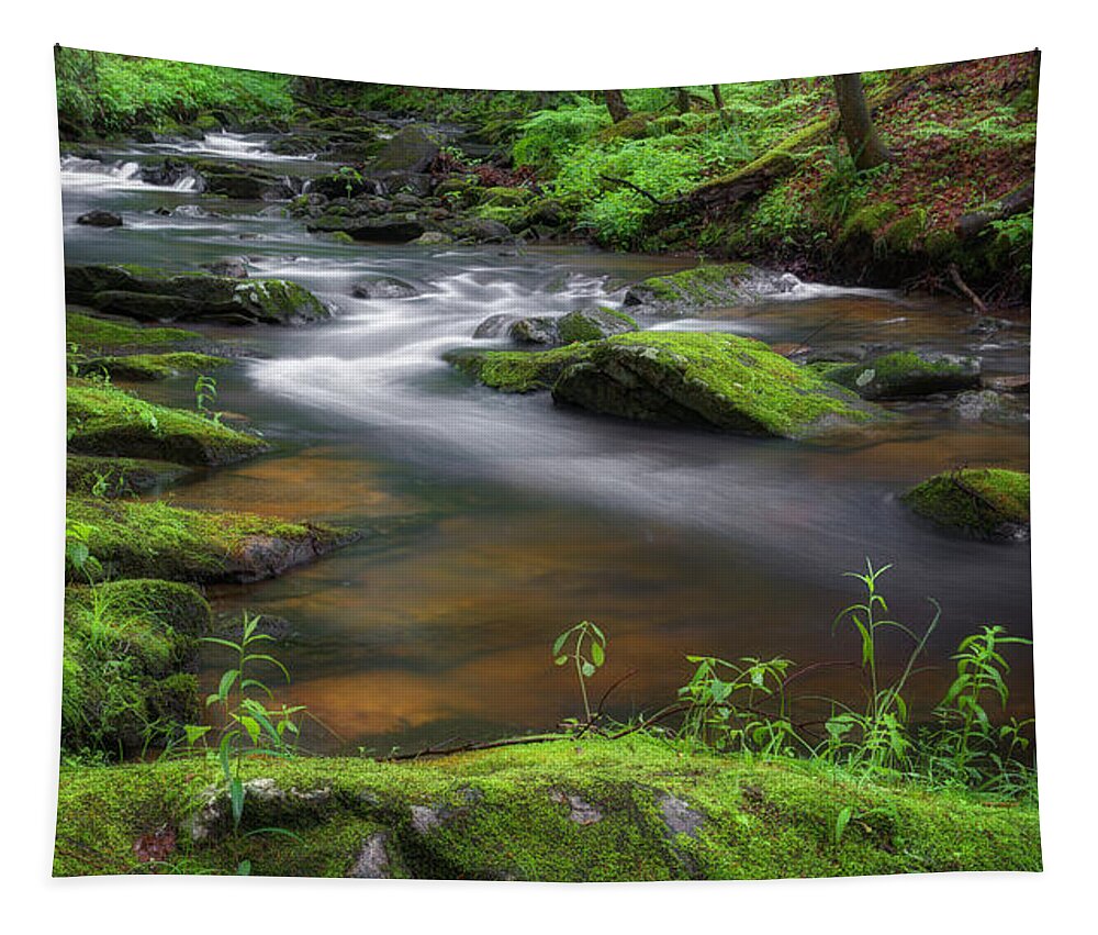 Green Tapestry featuring the photograph Flowing Spring Stream by Bill Wakeley