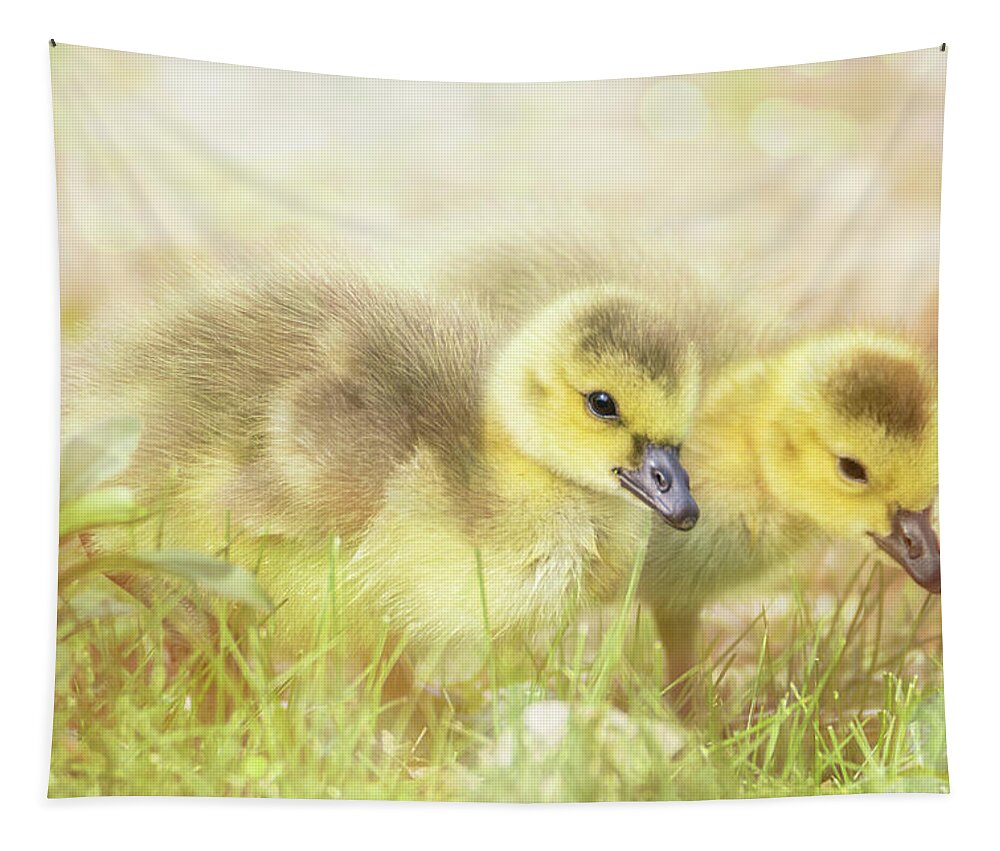 Gosling Tapestry featuring the photograph Fluffy Gosling Chicks #3 by Patti Deters