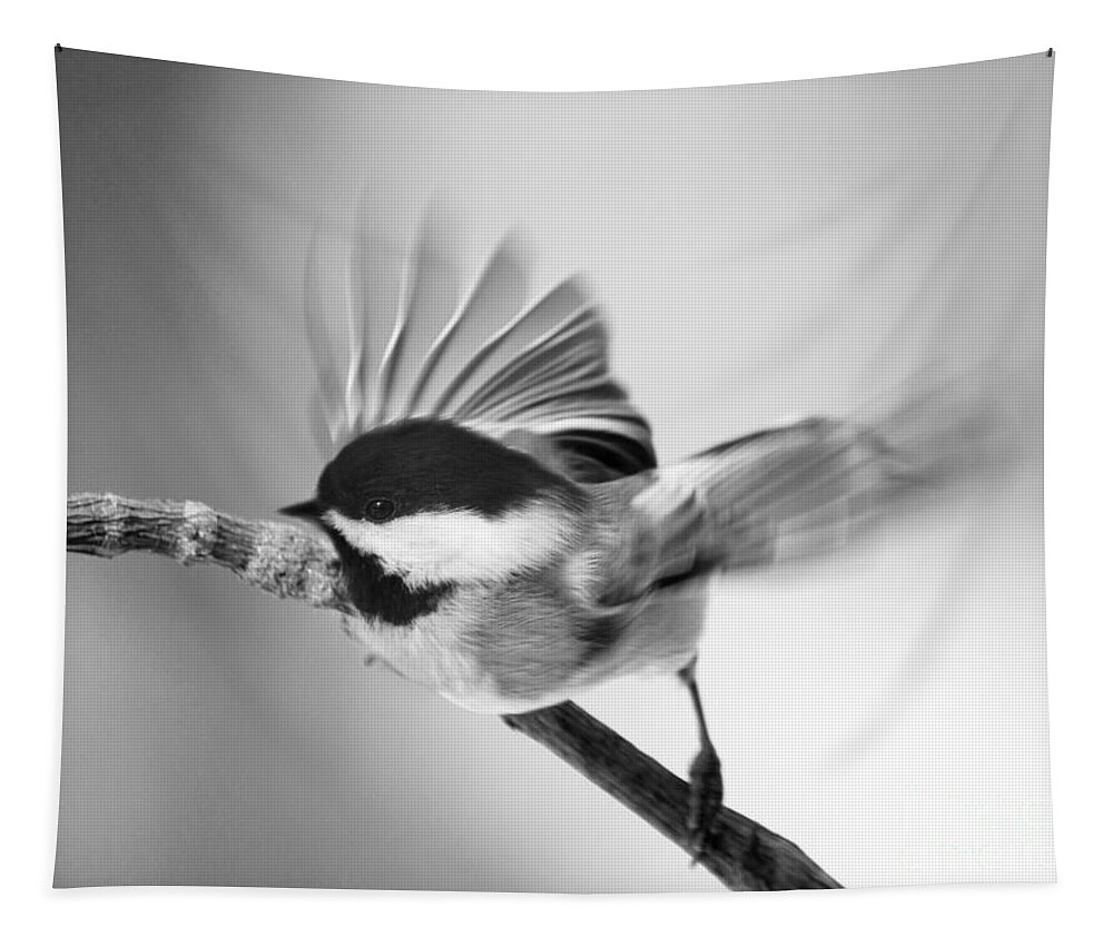 Bird Tapestry featuring the photograph Flutter Of A Chickadee's Wing by Dorothy Lee