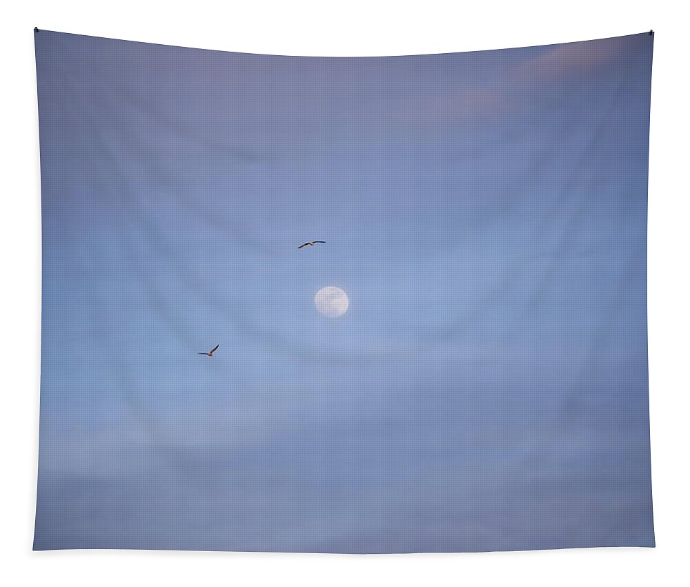 Moon Tapestry featuring the photograph Fly me to the moon by Toby McGuire