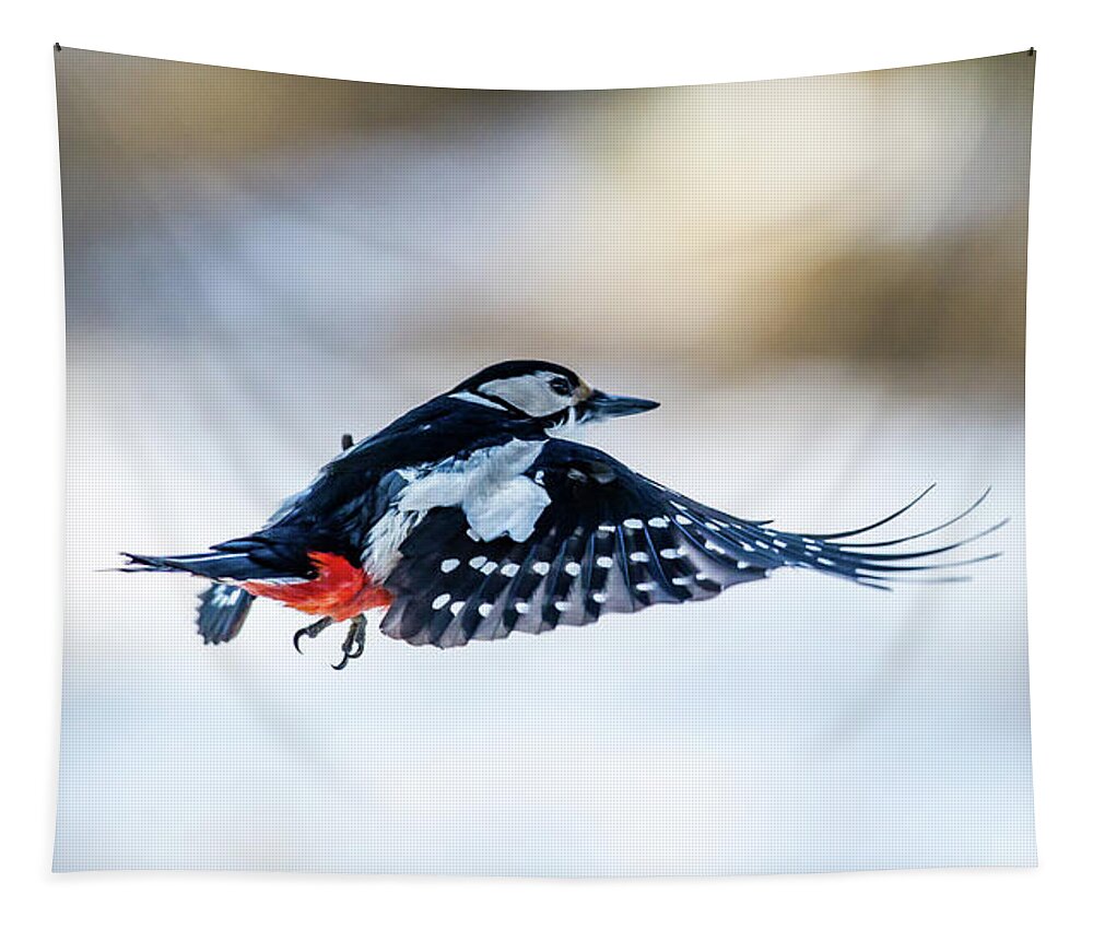 Flying Woodpecker Tapestry featuring the photograph Flying Woodpecker by Torbjorn Swenelius