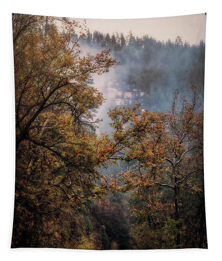 Fall Tapestry featuring the photograph Foggy Autumn Road by Saija Lehtonen