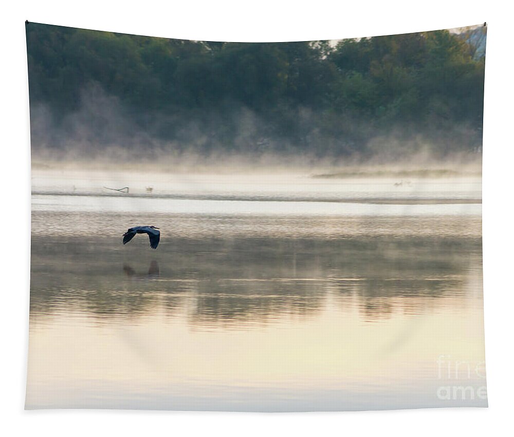Great Blue Heron Tapestry featuring the photograph Foggy Morning Flight by Jennifer White