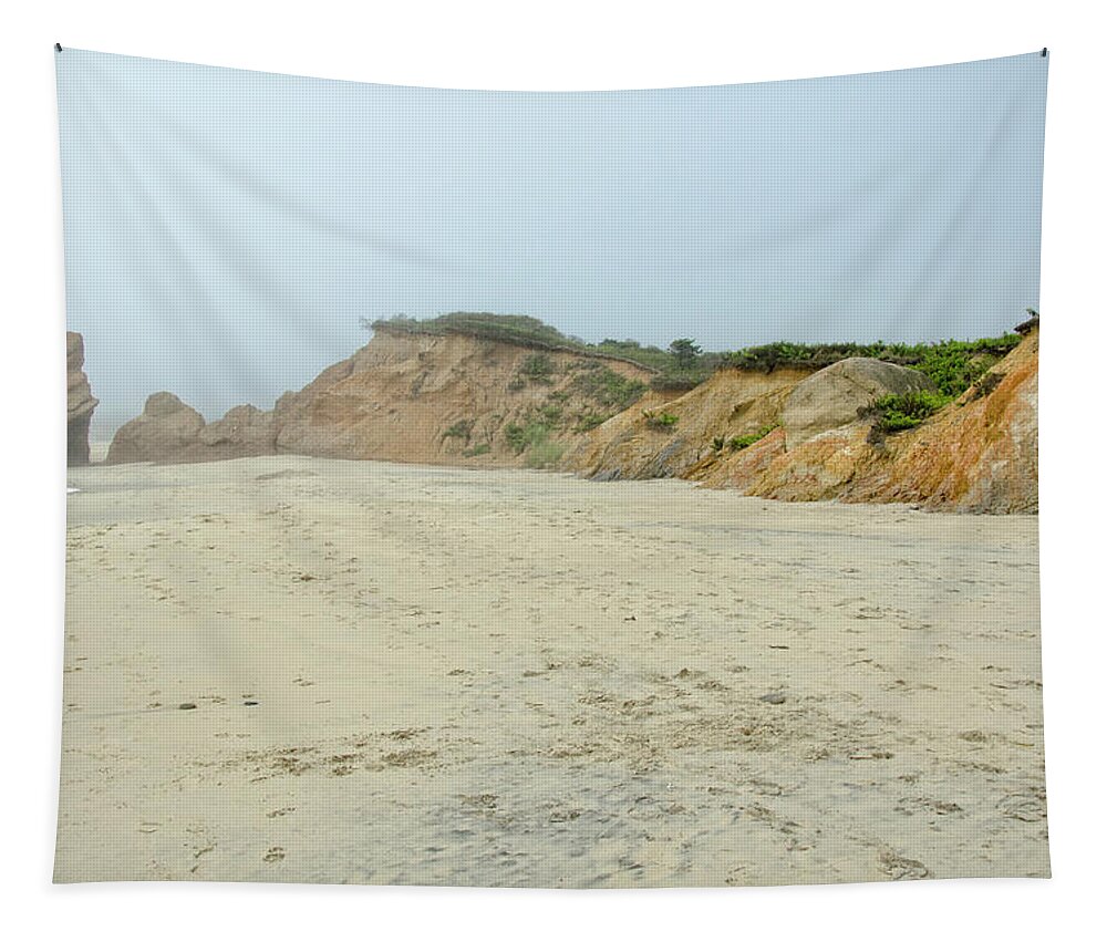 Cape Tapestry featuring the photograph Foggy Vineyard Beach by Donna Doherty