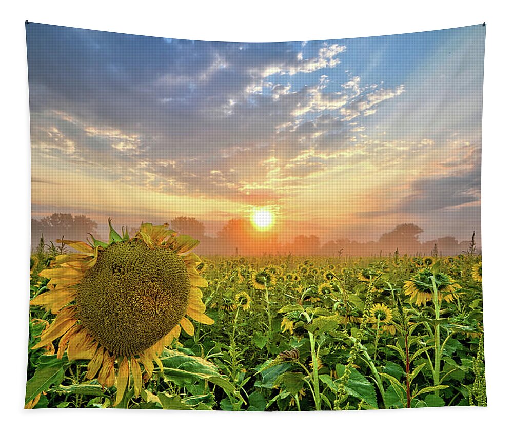 Flower Tapestry featuring the photograph Foggy Yellow Fields by Bonfire Photography