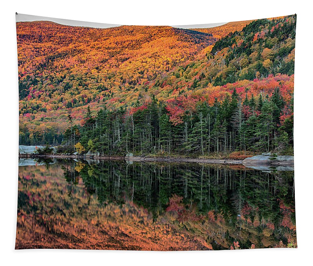 Beaver Pond Tapestry featuring the photograph foliage at dawn on Beaver pond by Jeff Folger